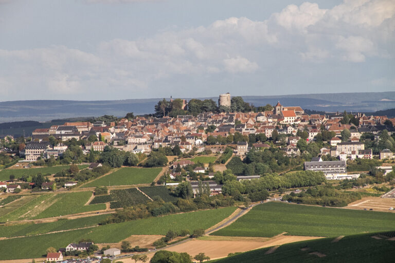 Le terre del Sauvignon
